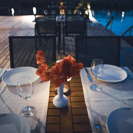 Casamia גונדוגן