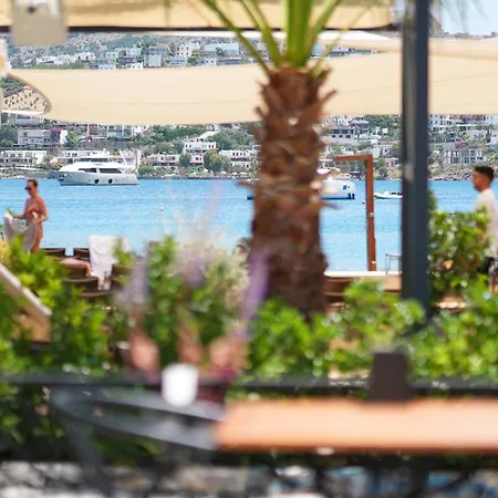 Casamia מלון גונדוגן