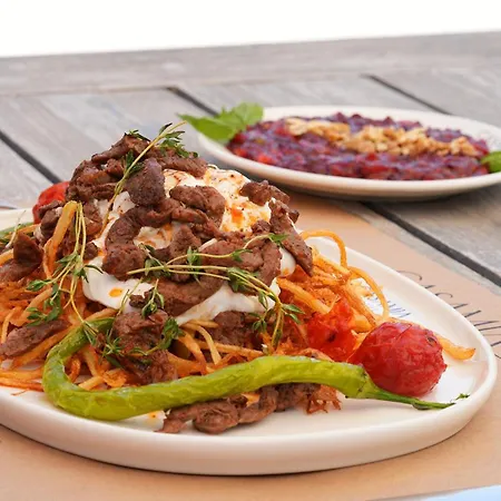 Casamia גונדוגן